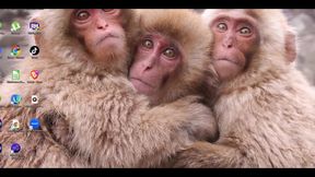 Evangelion Hentai - Misatothreesome Blowjob and Fuck - Anime Manga Japanese Asian Porn