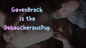 GavenBrock theDenofDebauchery Gooning Assgasmic Assplay Masturbation Compilation