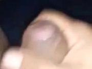 Pajas venidas 2