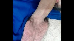 Bezerro Mamando Meu Pau