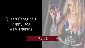Queen Georgina’s Puppy Dog ATM Training: Part 1