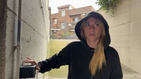 Two thieves for one appartament