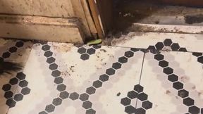 BDSM Instruction MP4