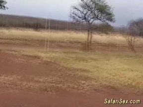hot african babe needs a big cock