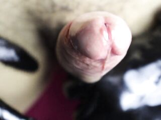 Large climax and lots of goo after abstinence close-up, semen flows