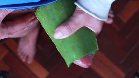 Aloe lube on uncut thick dick and tease myself raw