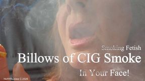 I lift the cigarette to my lips and take a slow, measured draw, my eyes half-lidded with quiet confidence. After a brief pause, I exhale a rich, rolling cloud of smoke that spills from my lips in thick, silky billows