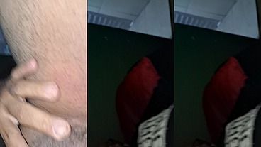 Dia dos paupais