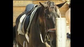 Blonde GILF gets fucked outdoors