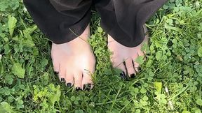 Walking on concrete & grass