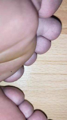 feet rubbing against each other in nylons and also feet in an unusual way