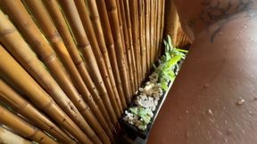 My Best Friend Spies on Me Showering and We Fucked When I Caught Him!