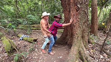 Un paseo por São Paulo