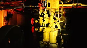 Bailey Nicole loves getting her ass fucked