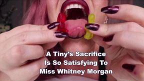 A Tiny's Sacrifice Is So Satisfying To Miss Whitney Morgan