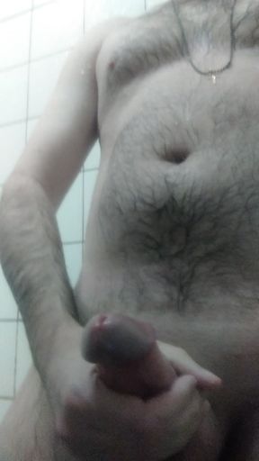 Showing off my dick in the bathroom.