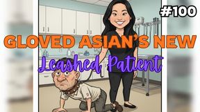 Gloved Asian New Leashed Pet