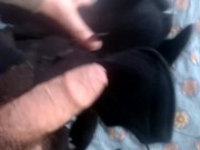 Dragon Toothless Plush in Head 3