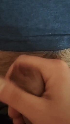 Two Gay Guys Jerking off Their Hairy Cocks