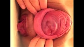 Japanese girl exposes her wet cervix for a lucky guy to fuck