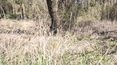 The stepmother takes out her stepson's penis and lets him pee.