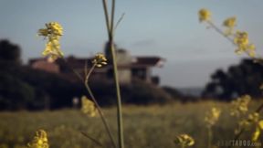 Codey Steele And Kit Mercer Are Fucking In The Bedroom And Enjoying Every Single Second Of It