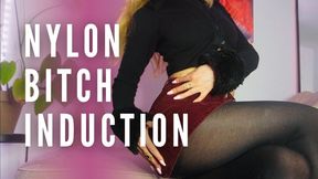 NYLON BITCH INDUCTION