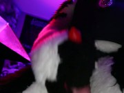 Police Dog Cumshot