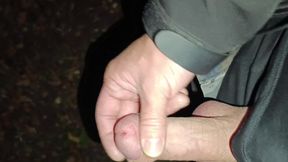 Horny jerking off with loud moans on the main road