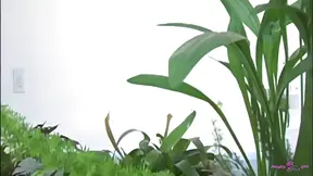 Perfect cunt gets drilled hard by this guy
