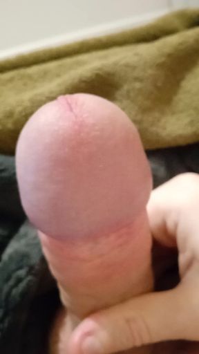 My cock looks like a sexy shemale&#039;s cock, doesn&#039;t it? #2