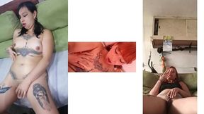 material exclusivo 1
