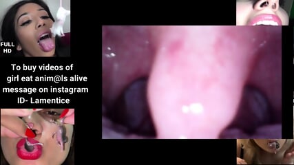 giantess vore endoscopic pov