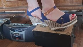 wife enjoys trample on electronics 1.