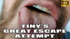 KingMarti : Tinys Great Escape Attempt - Giant Vore - 4k UHD 2160p