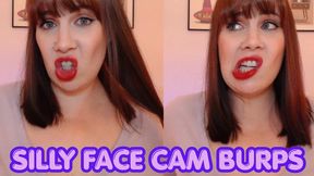 Silly Face Cam Burps WMV