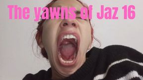 The yawns of Jaz 16