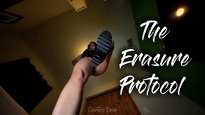 The Erasure Protocol (mp4)