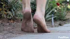 Giantess Autumn Barefoot in the Garden