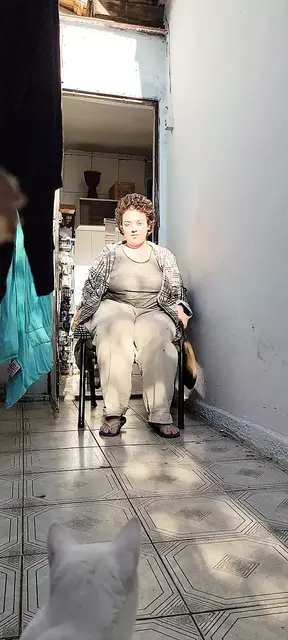 Tattooed Big tieten BBW masturbeert tot een orgasme in de zon