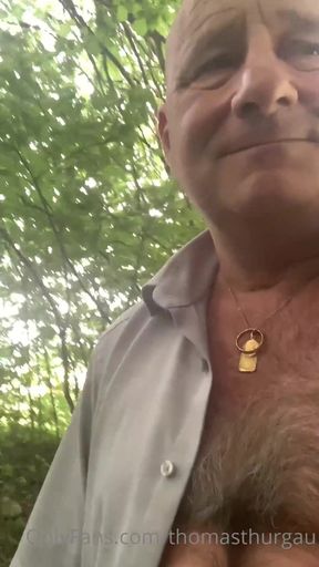 Once Again in the Forest