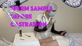 SPERM SAMPLE BEFORE CASTRATION WITH LONG LATEX GLOVES AND ELASTRATOR (mp4)