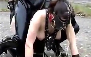 Pony girl training