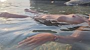 Rocky NUDIST BEACH voyeur # Open Pussy Close Up PEE