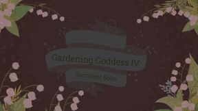 Gardening with Goddess IV: Succulent Soles