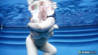 Moist Tee Teaser - Dors Feline