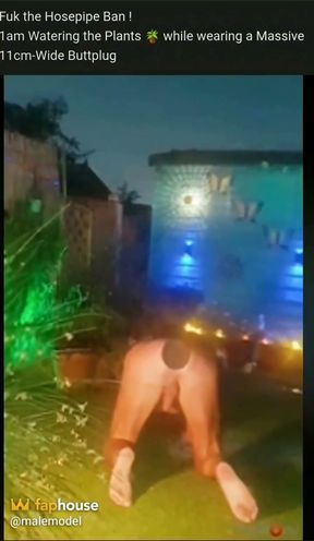 1am Naked in the Garden &amp; a Buttplug