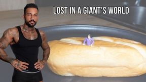Lost in a giant s world - Lalo Cortez