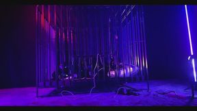 Prisoner and Desire
