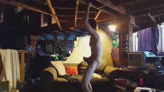 Fleshlight Couch Fuck